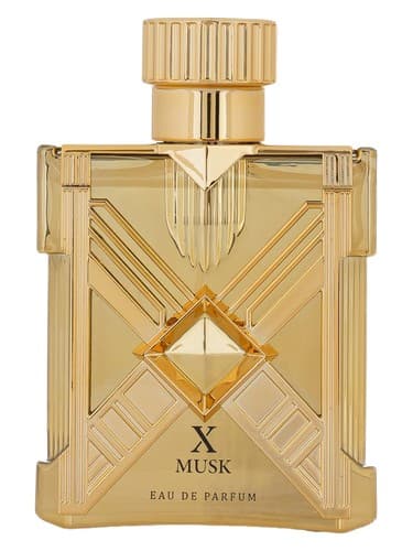 X Musk - ایکس ماسک