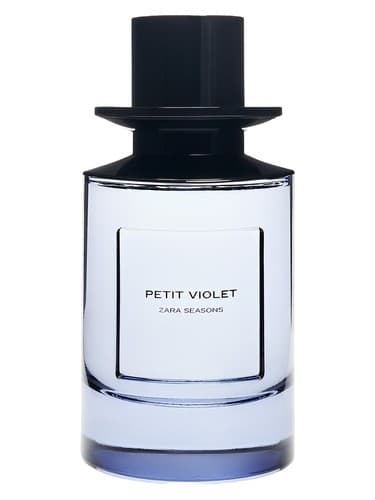 Petit Violet - بنفشه کوچک