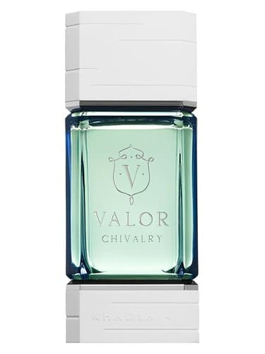 Valor Chivalry