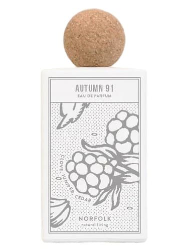 Autumn 91 - آتوم 91