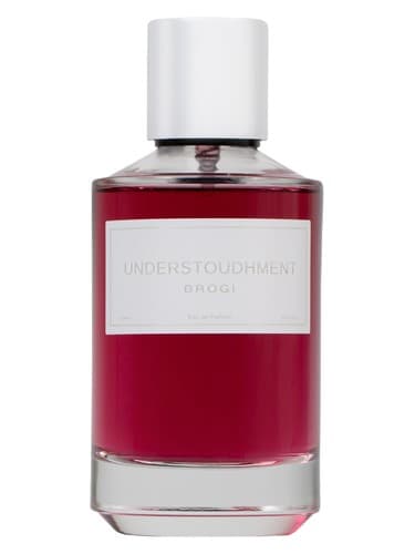 Understoudhment - درک