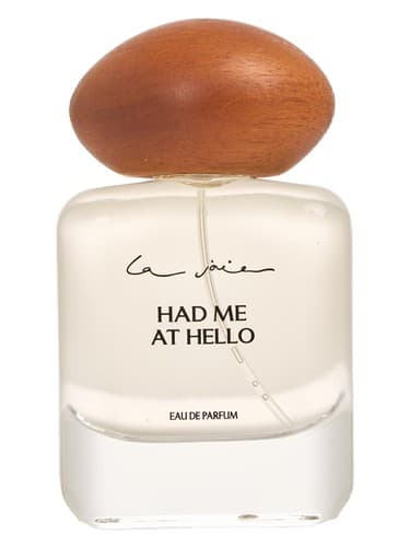 Had Me At Hello - من در سلام