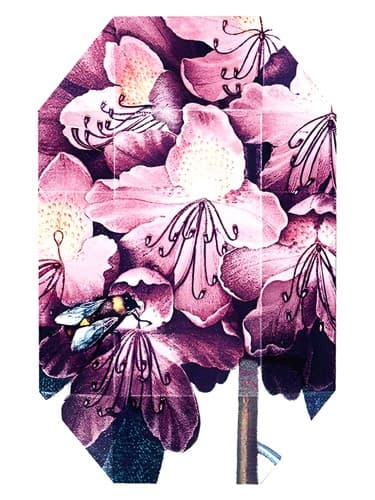 Print Collection Stella 01 (2011)
