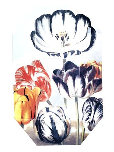 Print Collection Stella 02 (2011)
