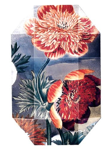 Print Collection Stella 03 (2011)