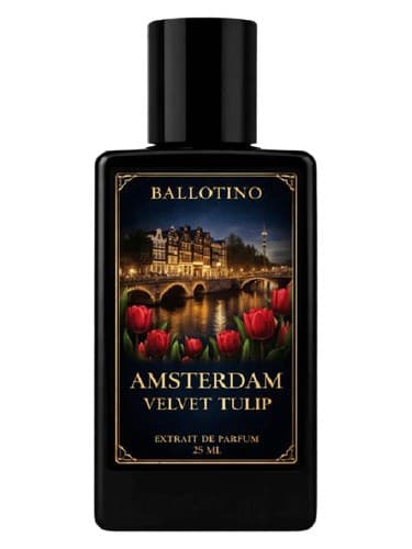 Amsterdam Velvet Tulip - لاله مخملی آمستردام