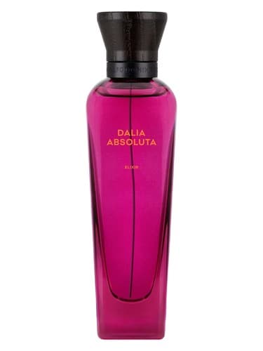 Dalia Absoluta Elixir