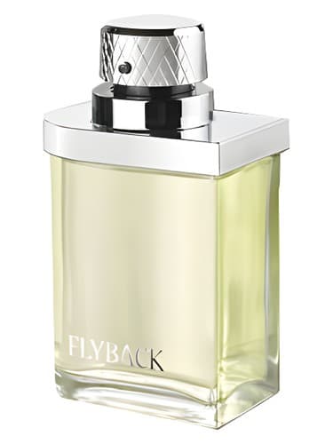 Flyback - فلایبک