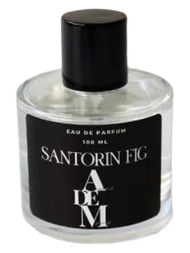 Santorini Fig - سانتورینی شکل