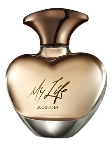 Mary J. Blige My Life Blossom - مری جی بلیج شکوفه زندگی من