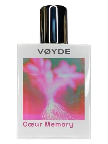 Coeur Memory - حافظه کور