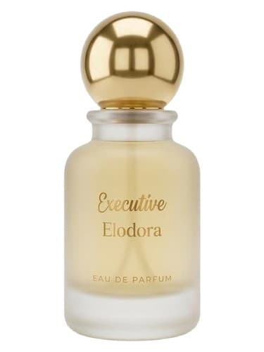 Executive - اجرایی