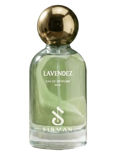 Lavendez - لاوندز