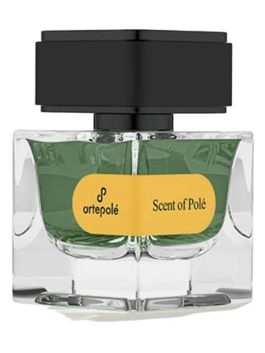 Scent of Polé - بوی پوله
