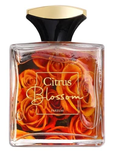 Citrus Blossom - شکوفه مرکبات