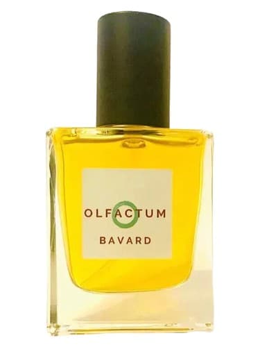 Bavard