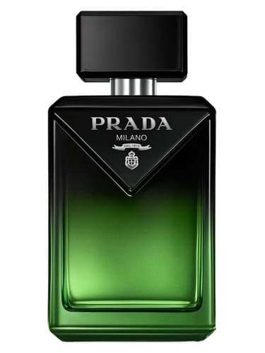 Paradigme Le Parfum - پارادایم لو پرفیوم