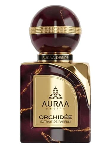 Orchidee