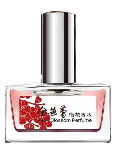 Plum Blossom 梅花 - شکوفه آلو 梅花