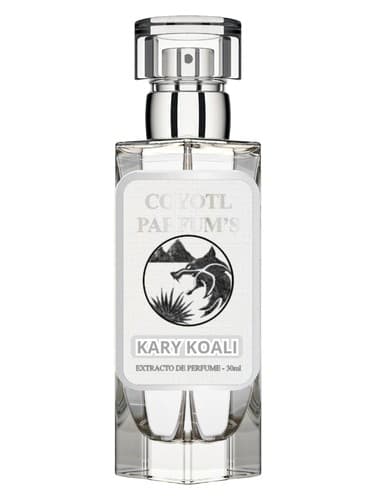 Kary Koali - کری کوالی