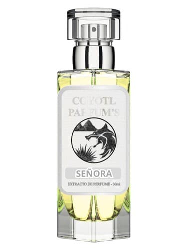 Señora - سنیورا