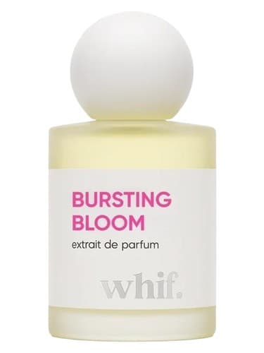 Bursting Bloom