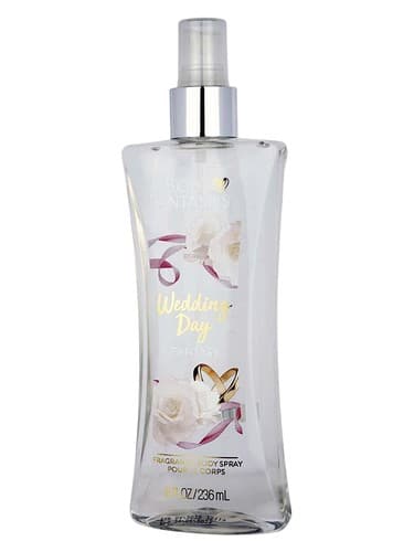 Wedding Day Fantasy - فانتزی روز عروسی