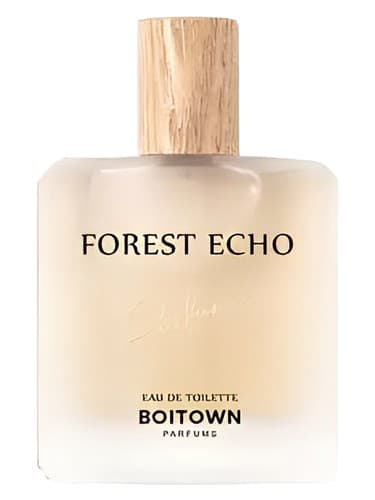 Forest Echo 森林回声