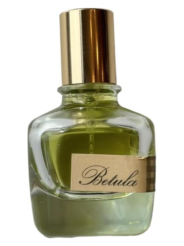Betula - بتولا