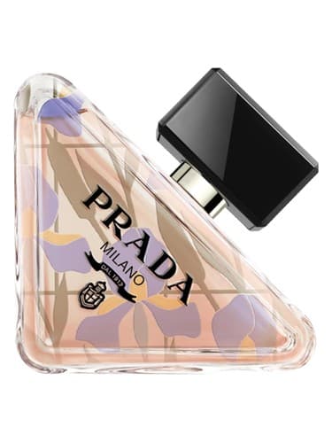 Paradoxe Orchidea Edition - نسخه Orchidea پارادوکس