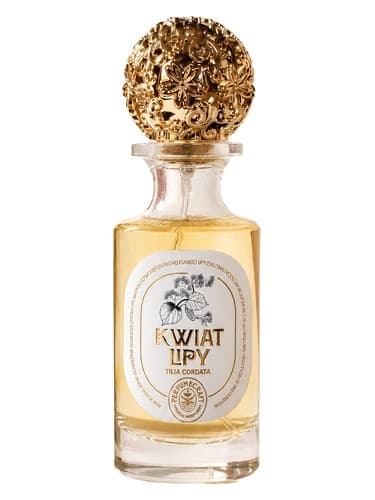 Kwiat Lipy