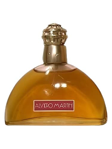 Alviero Martini Uomo