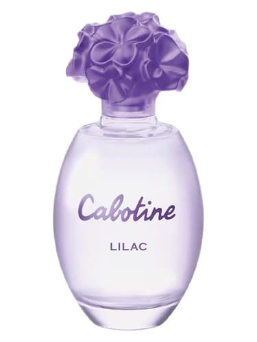 Cabotine Lilac