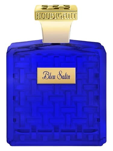 Bleu Salin - بلو سالین