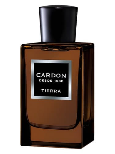 Cardon Tierra - کاردون تیرا