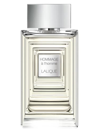 Hommage à l'Homme Eau de Toilette - ادو تویلت Hommage à l'Homme