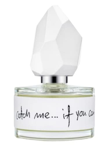 Catch Me… If You Can - منو بگیر... اگه میتونی
