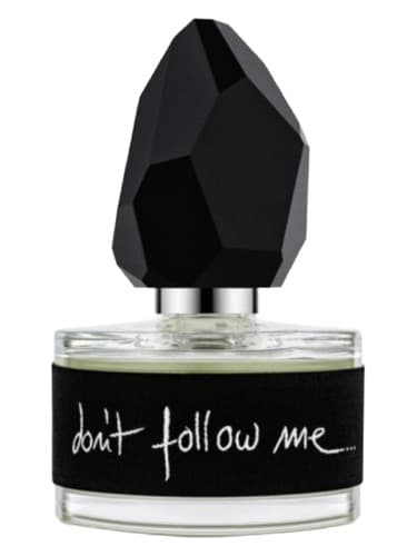 Don't Follow Me - دنبال من نرو