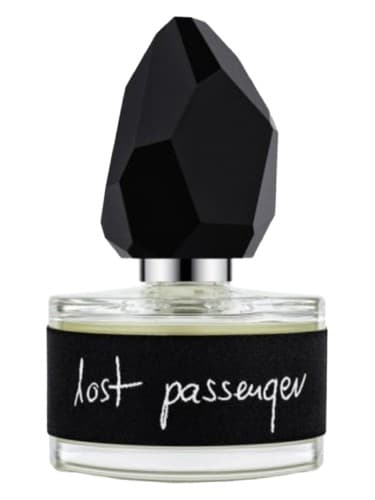 Lost Passenger - مسافر گمشده