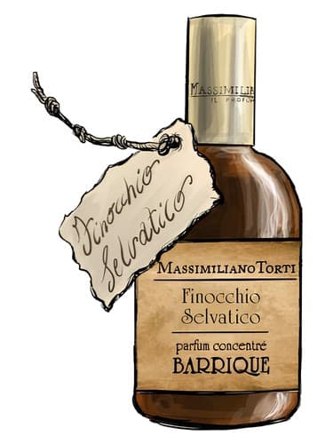 Finocchio Selvatico - فینوکیو سلواتیکو