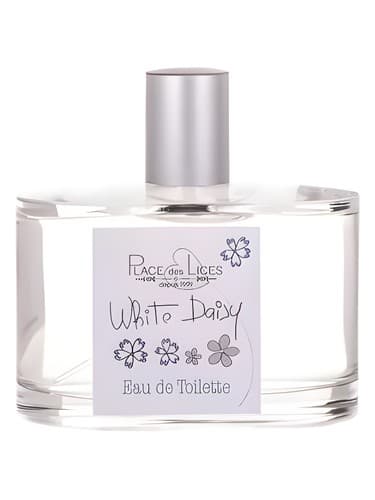 White Daisy - دیزی وایت
