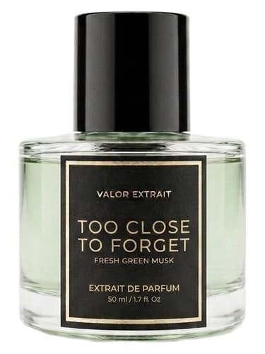 Too Close To Forget - خیلی نزدیک برای فراموش کردن