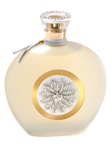 Rose de Rose - رز دو رز