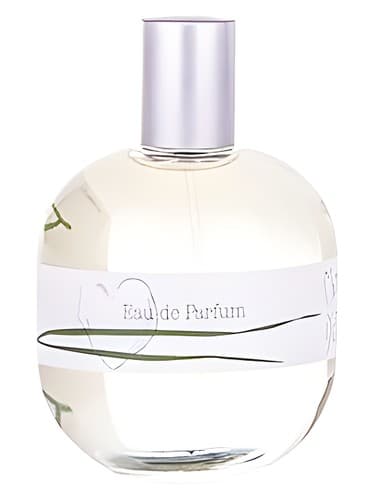 Matin d'Ete - متین ته