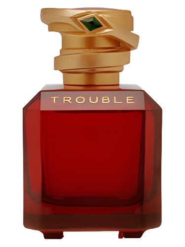 Trouble - مشکل