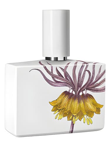 Clemency Limited Porcelain Edition 