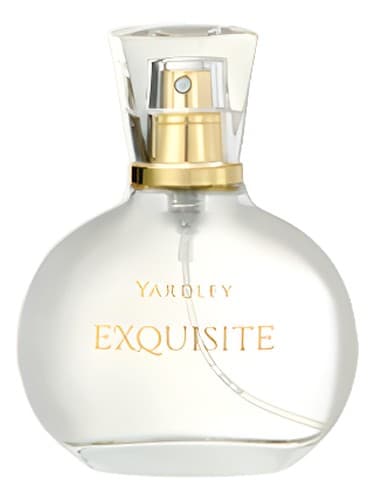 Exquisite