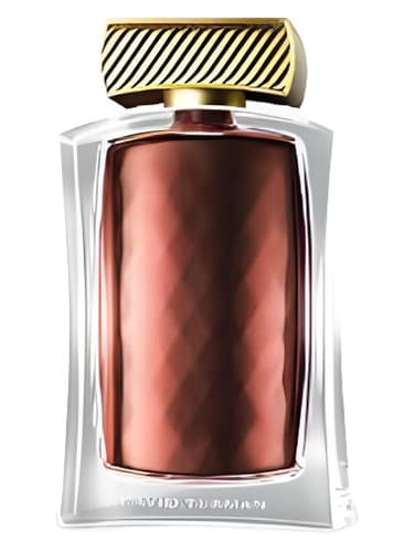 David Yurman Limited Edition - دیوید یورمن نسخه محدود