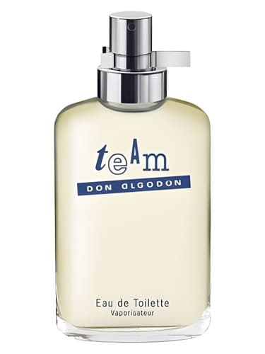Team - تیم