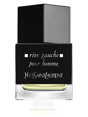 La Collection Rive Gauche Pour Homme 